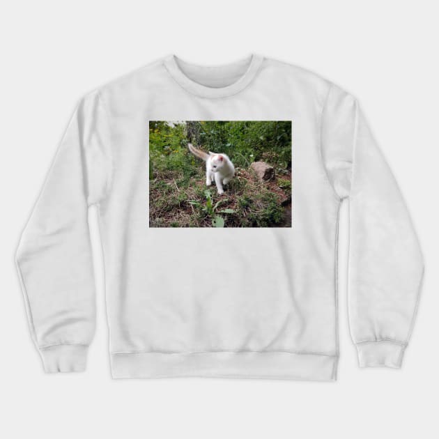 Little white cat in the garden Crewneck Sweatshirt by Gourmetkater